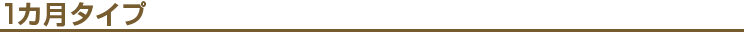 1カ月タイプ