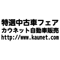 全面:文字